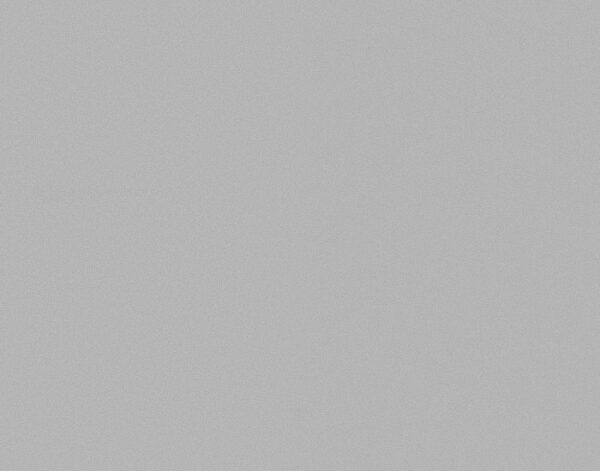 mostra color gris